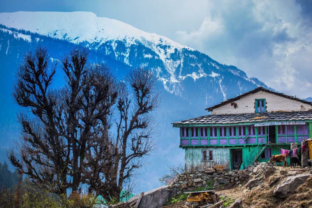 AVA Hotel nestled in the serene beauty of Old Manali