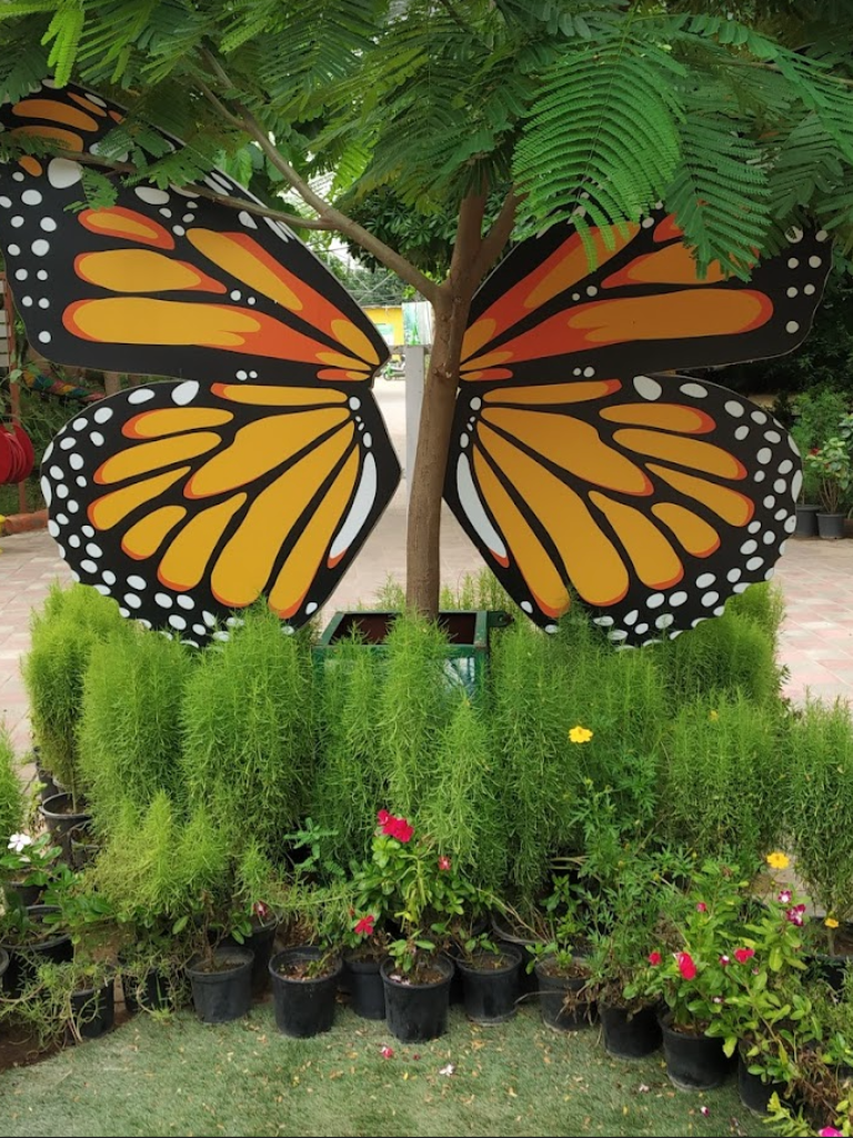 Thousans shades butterfly Park near AVA