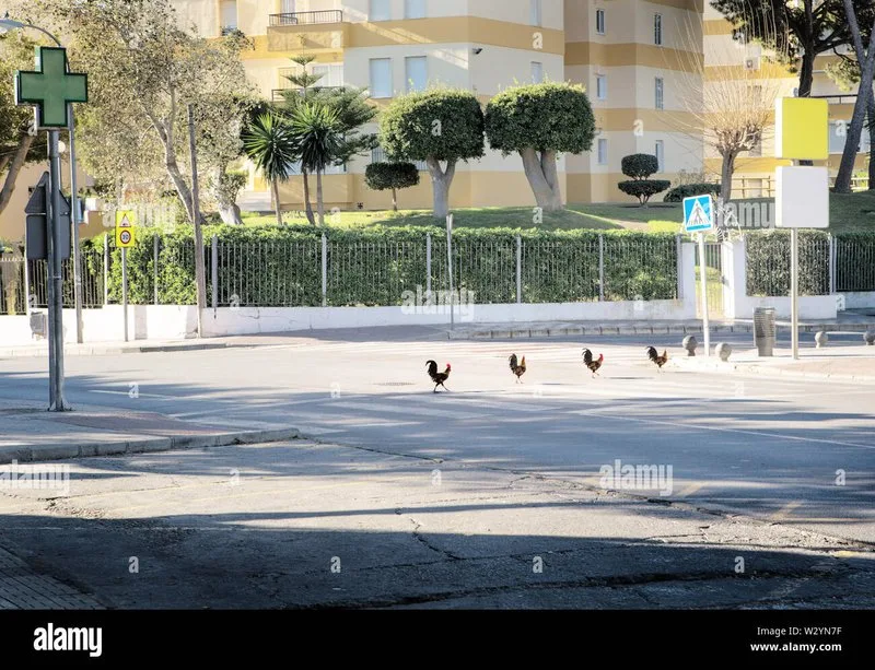 Best juego chicken road in Spain