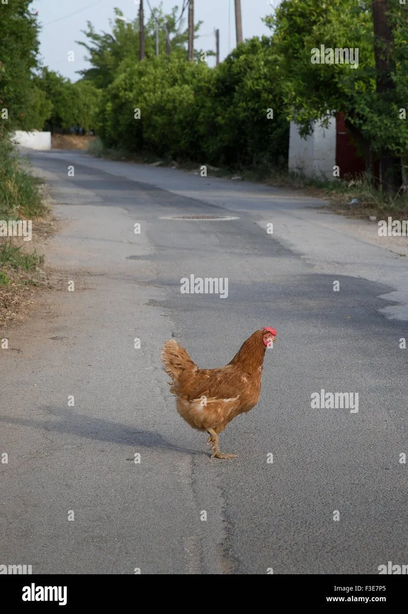 Descubre El Misterio de la Carretera de Pollo en España y Juega En Línea - overview