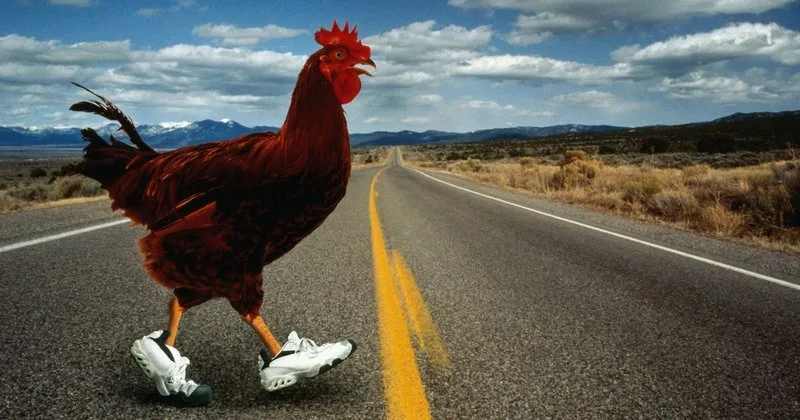 Chicken road oficial, chicken road