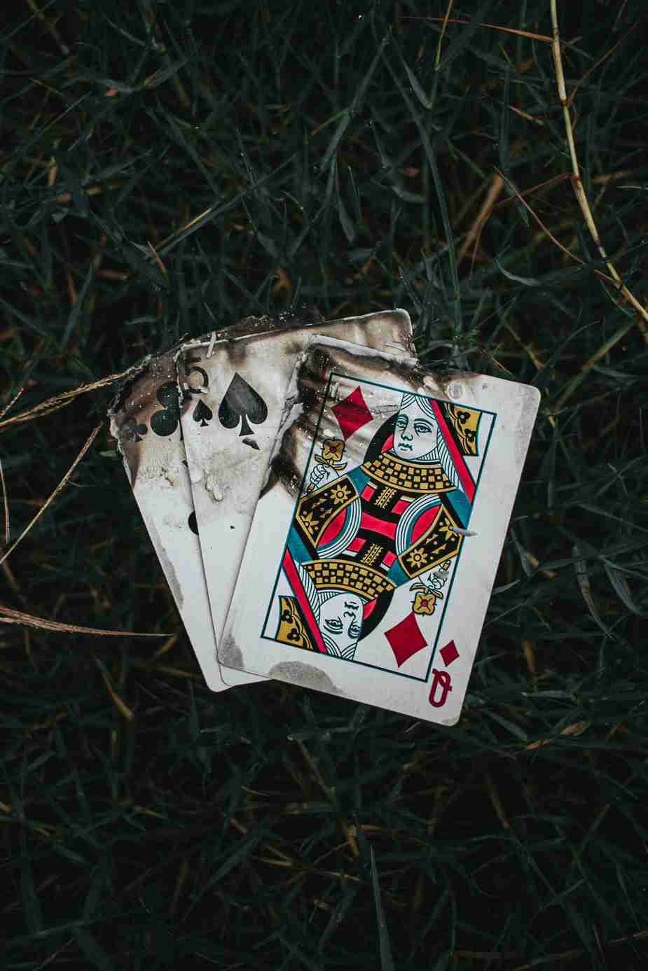 silverplay casino